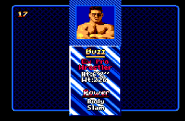 Pit Fighter (Brazil) cover art