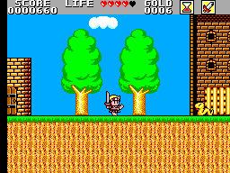 Super Wonder Boy – Monster World (Japan) cover art