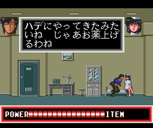 City Hunter (Japan) cover art