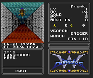 Double Dungeons – W (USA) cover art