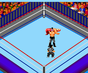 Fire Pro Wrestling – Combination Tag (Japan)