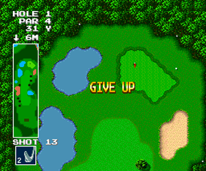 Power Golf (USA) cover art