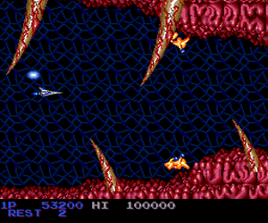 Salamander (Japan)