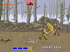 Golden Axe Set 5 Us Fd1094 317 0122 Decrypted cover art