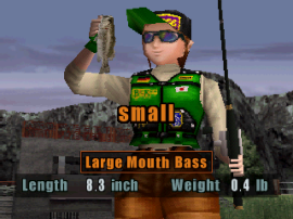 Bass Rise cover art