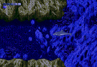 Ecco the Dolphin cover art