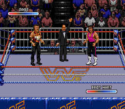 WWF Rage in the Cage cover art