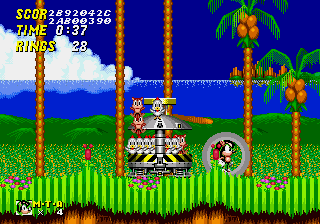 Mighty Ray In Sonic 2 cover art
