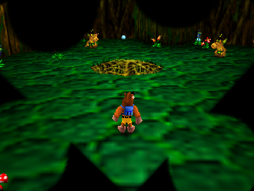 Banjo-Kazooie The Jiggies of Time cover art