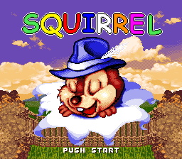 Squirrel cover art