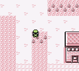Pokemon Red Gender Selection cover art