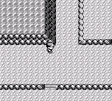 Pokemon Blue Gender Selection cover art