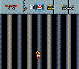 MARIO cover art