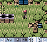 Pokemon Jade Version (Unl) cover art
