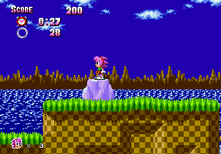 Amy Roses Island Adventure cover art