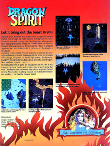 Dragon Spirit Old Version Ds1