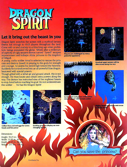Dragon Spirit Old Version Ds1 cover art