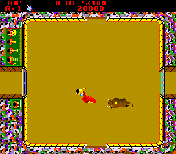 Bullfight 315 5065