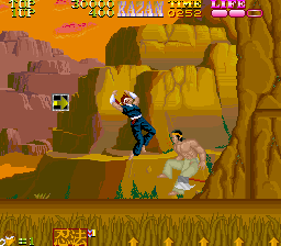 Iga Ninjyutsuden Japan cover art