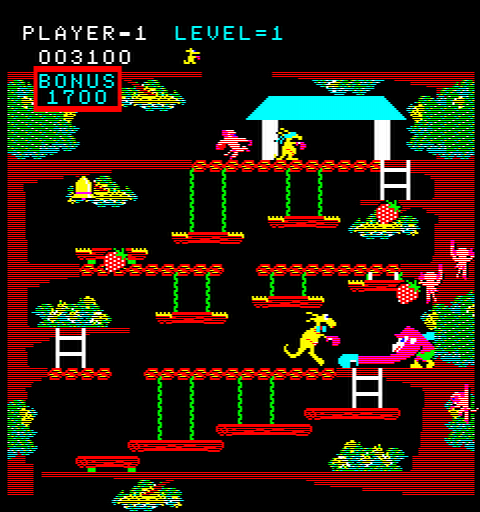 Kangaroo cover art