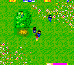 Ninja 315 5102 cover art